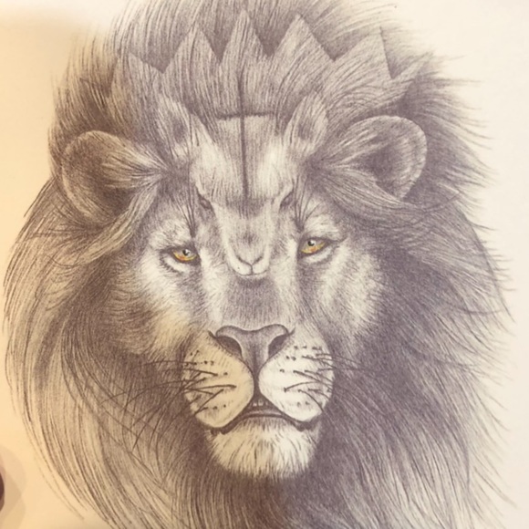 Meet your Posher, Hunter - Picture 1 of 1